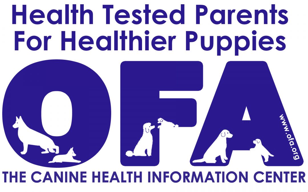 Ensuring Canine Wellness: Annual Certifications