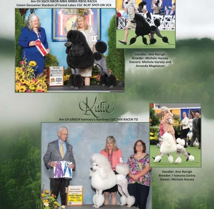SPFL in the latest Poodle Variety magazine