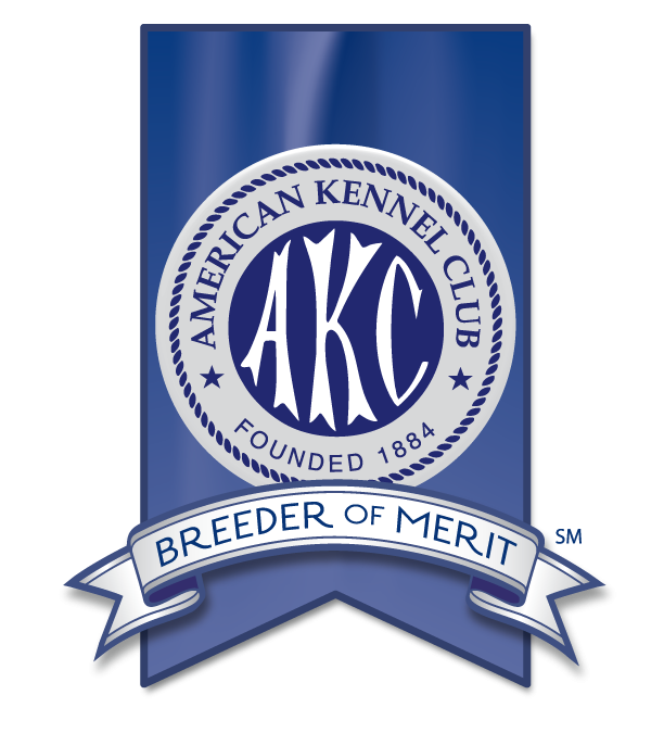AKC Breeder of Merit: SPFL is honored to be a new AKC BOM!