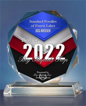 Press Release:  Best Of Big Rapids Township 2022